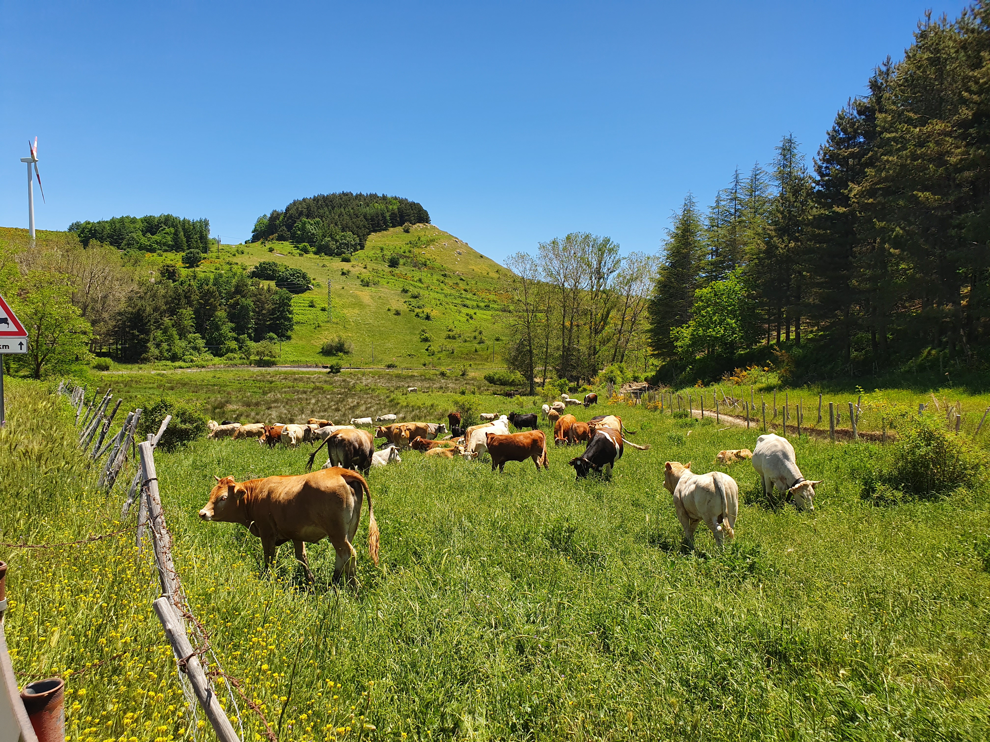 Vacanze in Sicilia tra mare, natura e cultura: dove andare e cosa vedere – FOTOGALLERY