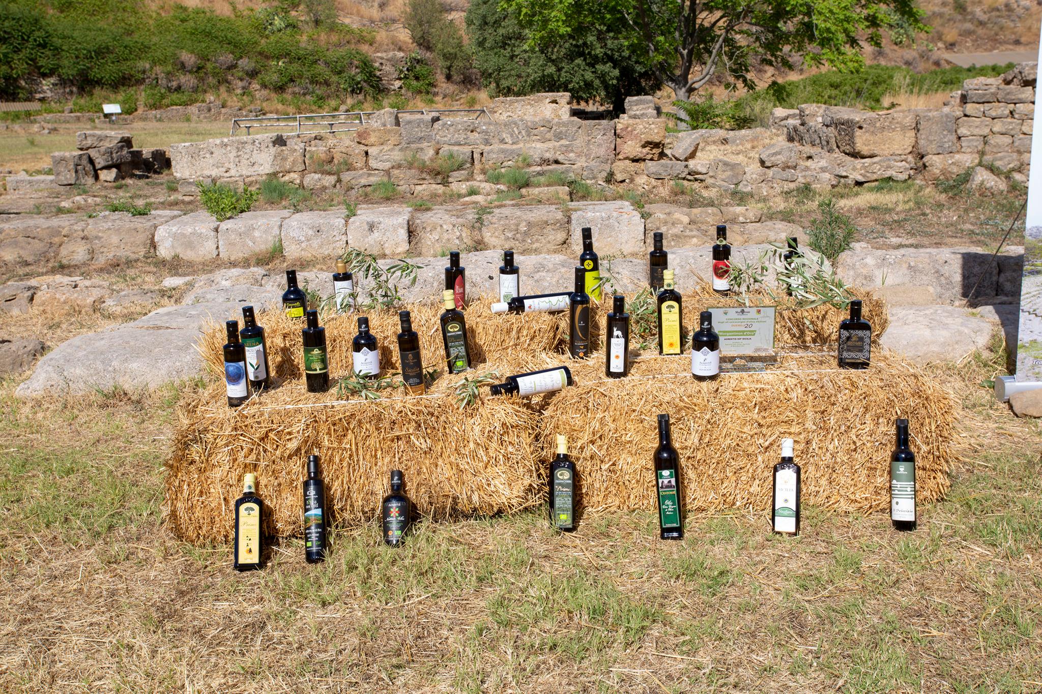 Enna, i migliori oli siciliani si sfidano, si avvicina Morgantinon 2022