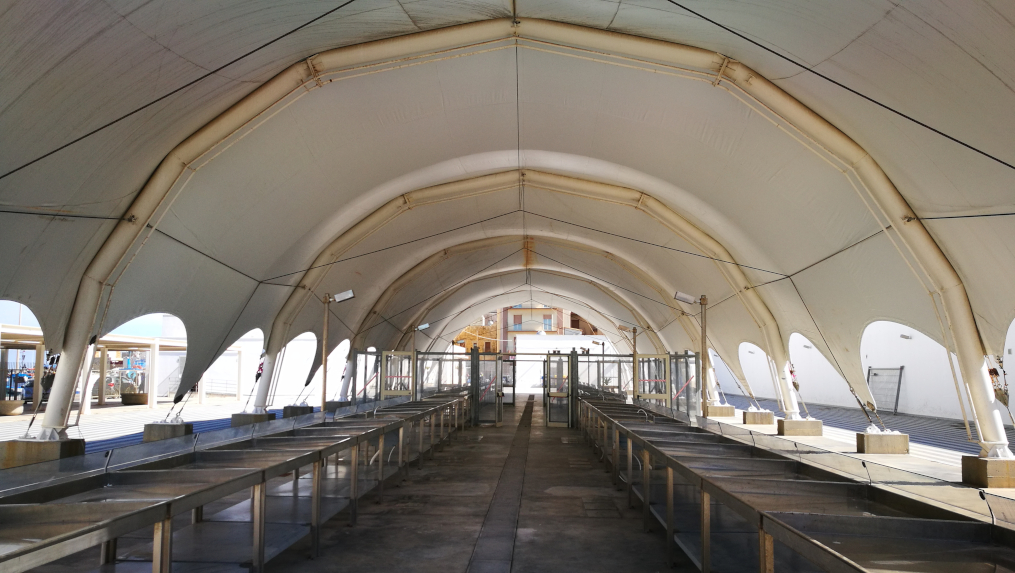 Il paradosso del mercato del pesce trapanese