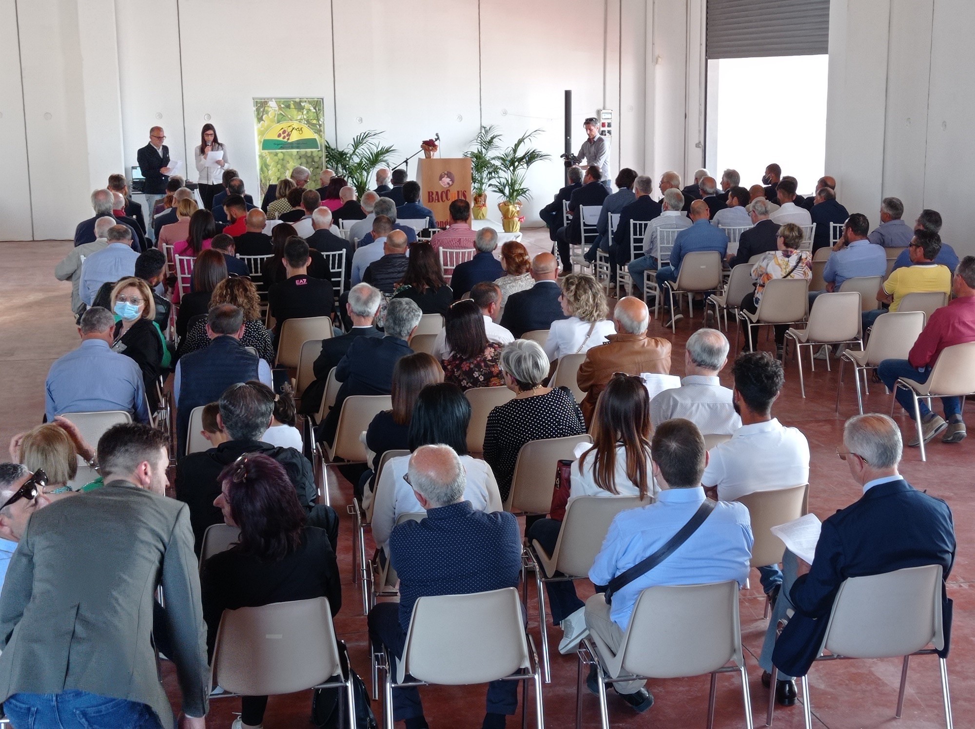 Mazzarrone, l’uva del futuro con il progetto “Innovitis”