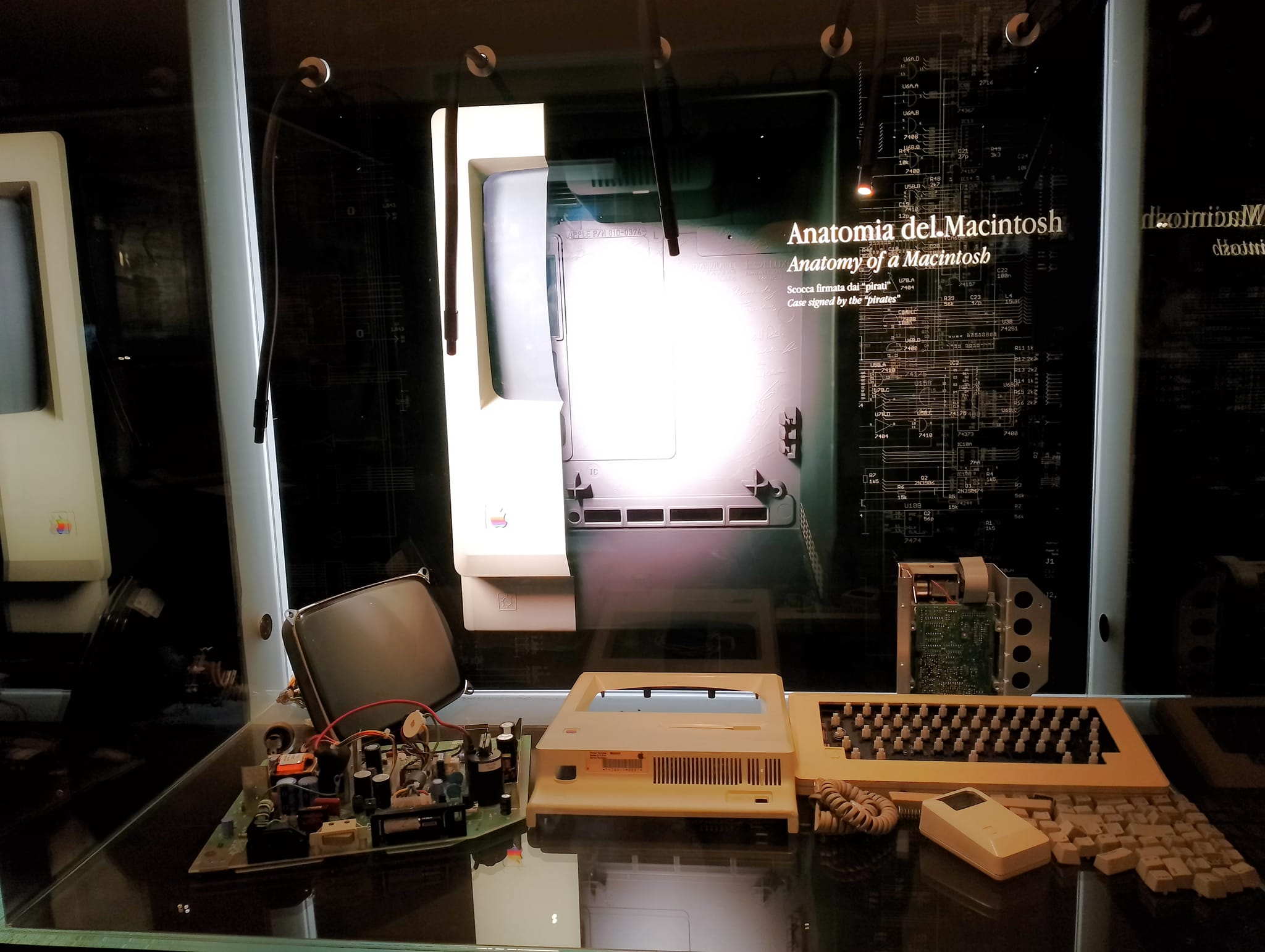 Mec Museum: viaggio all’interno del museo visionario nel cuore di Palermo￼