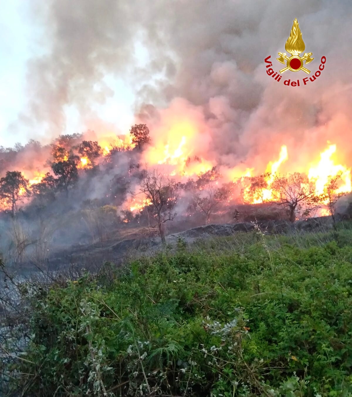 Ancora incendi in Sicilia, fiamme e paura a Reitano: le incredibili foto Ancora incendi in Sicilia, fiamme e paura a Reitano: le incredibili foto