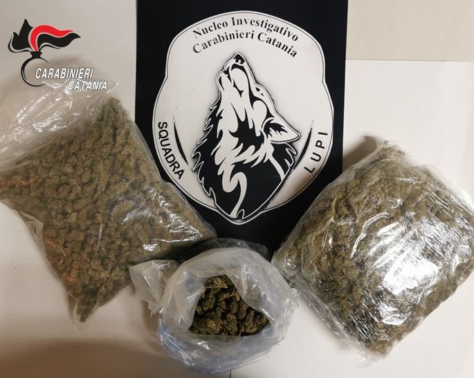 Nascondeva la droga negli slip, in manette pusher con reddito di cittadinanza