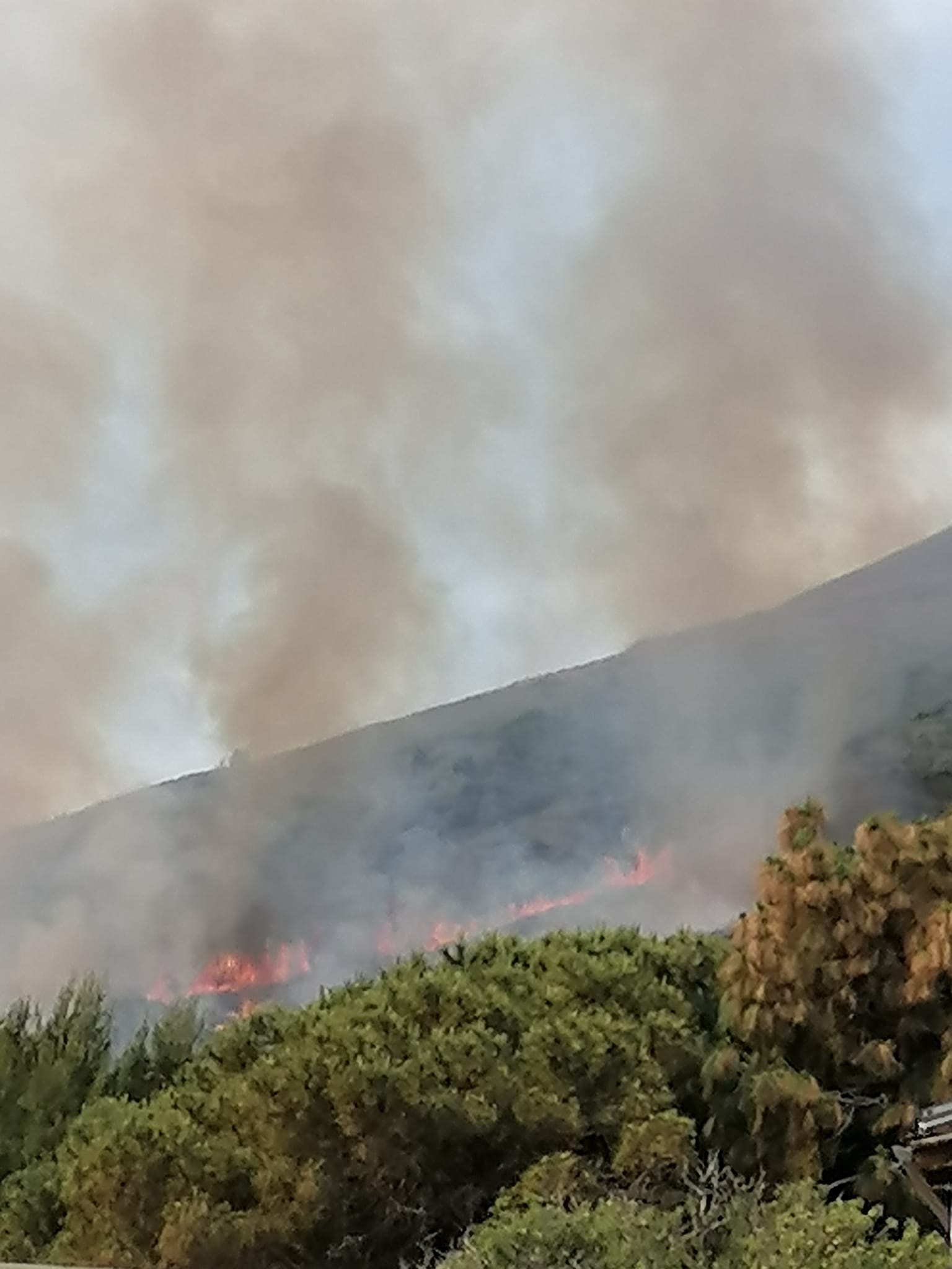 Roghi, alluvioni ed eruzioni: Stromboli, un annus horribilis