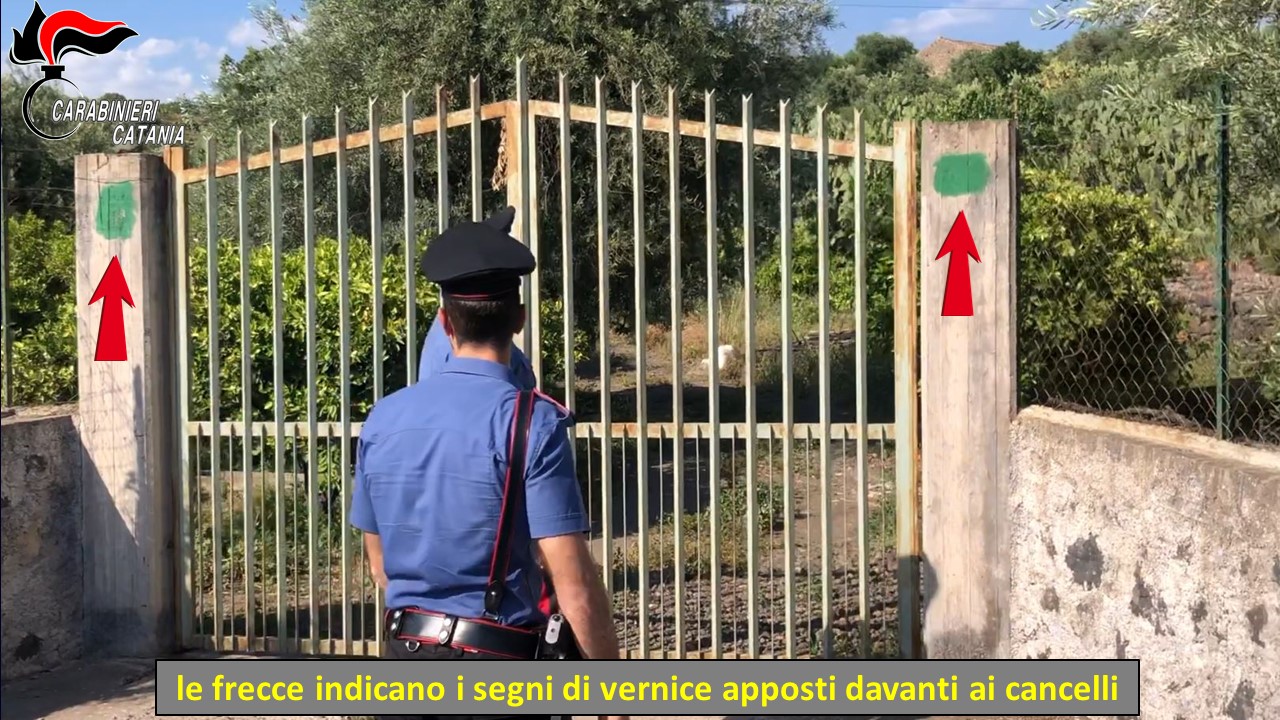 Santa Maria di Licodia: guardiani abusivi con reddito cittadinanza: cinque indagati