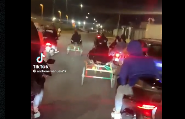 Corse clandestine e combattimenti tra animali: 3 daspo e 6 avvisi orali