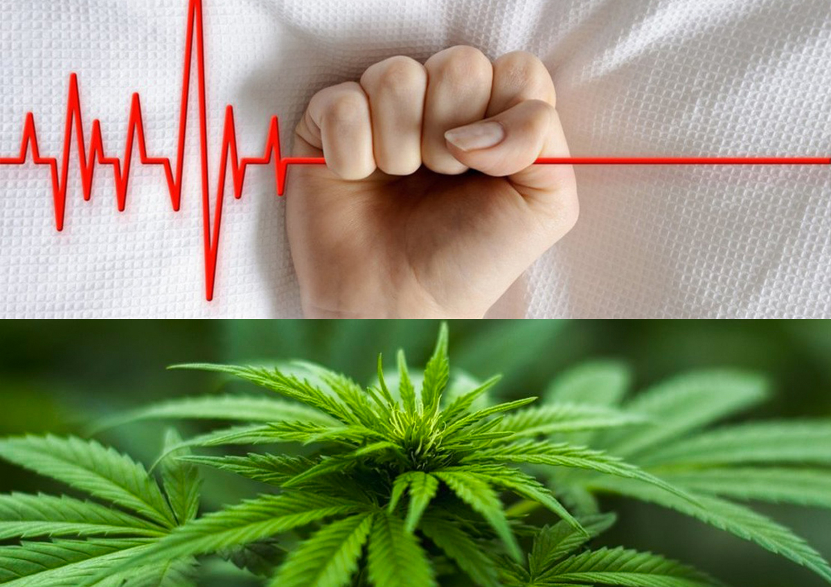 Fine vita e cannabis, la politica gira a vuoto. Cittadini liberi di scegliere solo se consapevoli