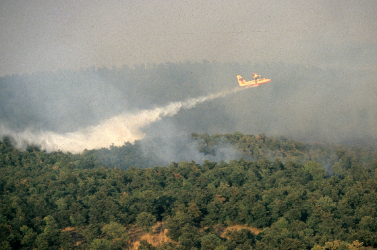 Incendi, al via la campagna della Regione, ma già in fumo circa 800 ettari