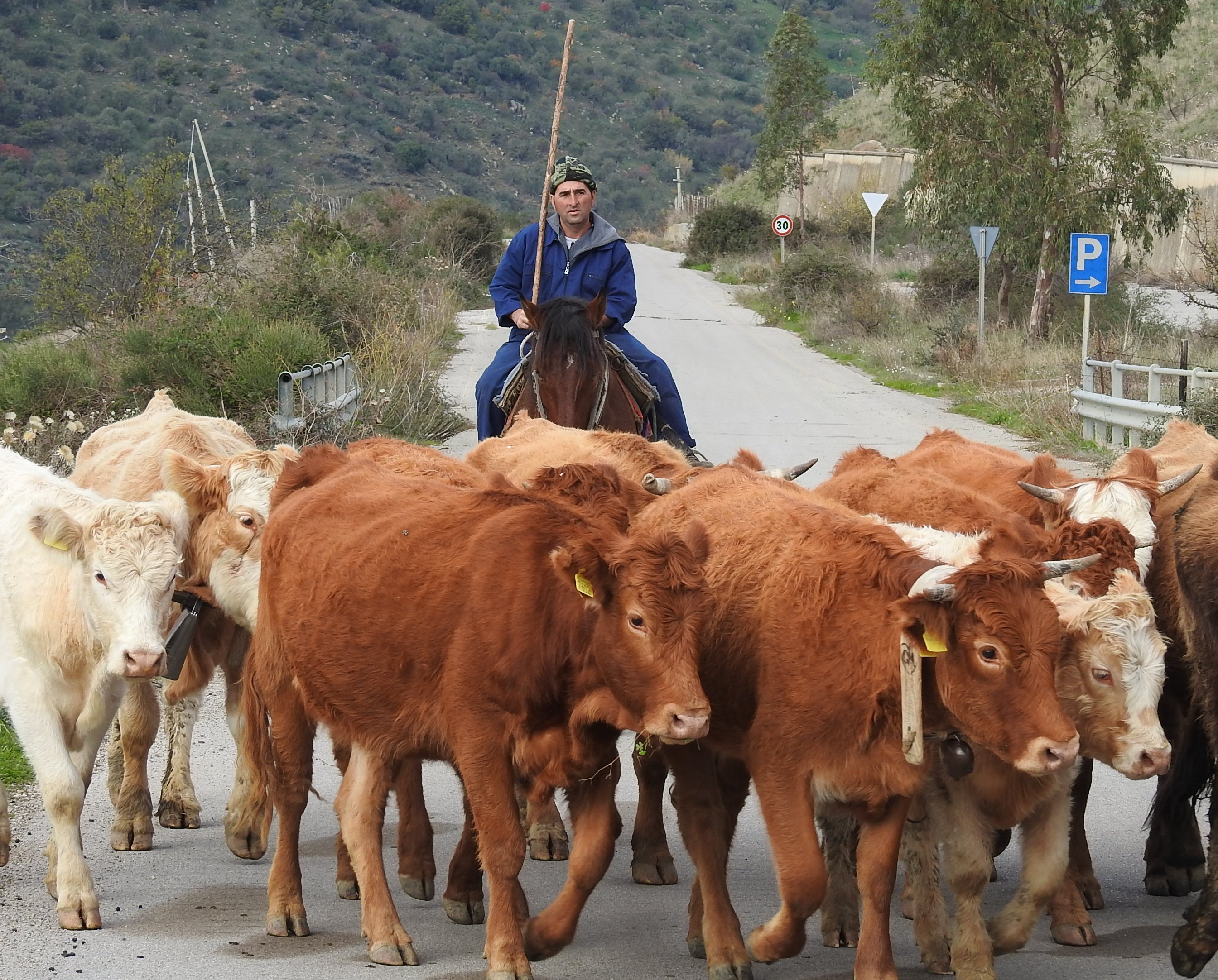 Geraci Siculo, nel fine settimana torna la Transumanza, patrimonio dell’umanità