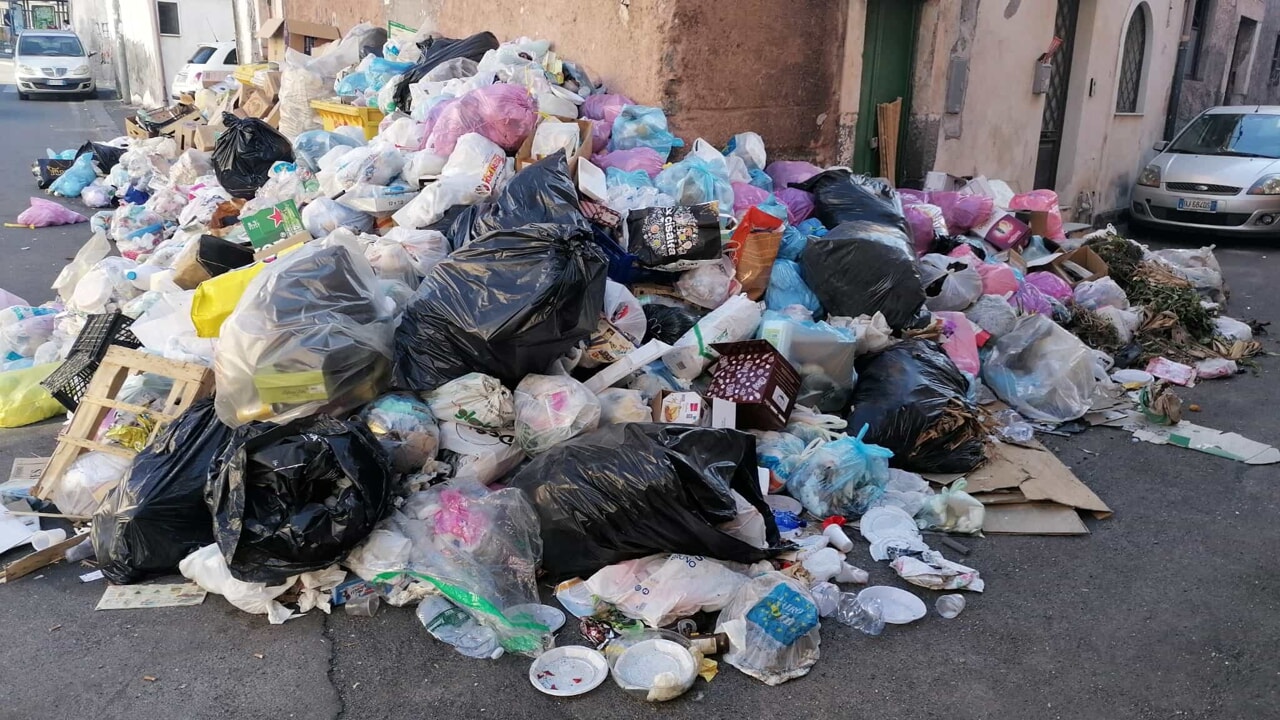 Emergenza topi a Catania: colpa delle “micro discariche” e l’assenza di sanificazione