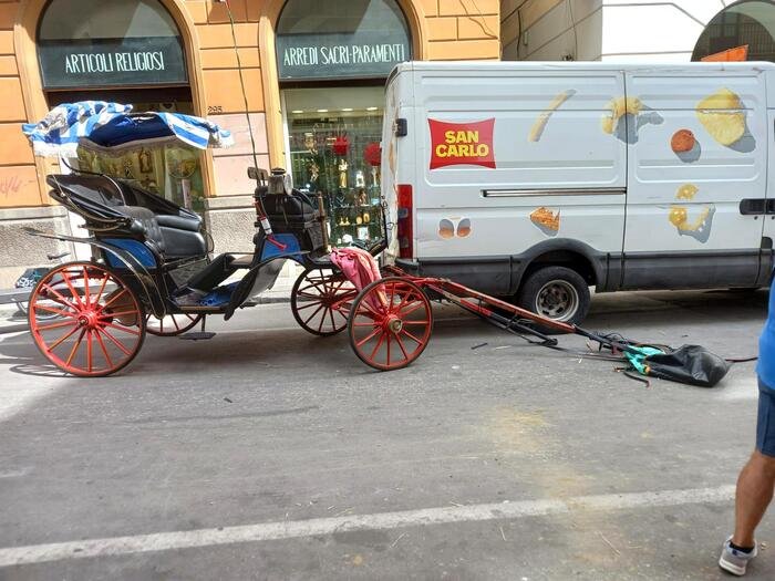 Panico in centro, il turista ubriaco e il cavallo imbizzarrito a Palermo: un ferito