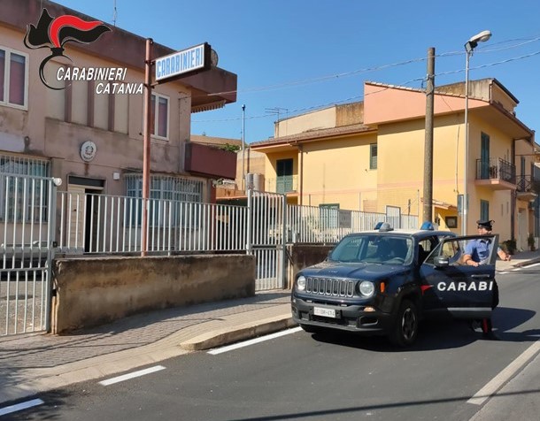 Caltagirone, tenta di rubare 600 chili d’uva da un terreno agricolo: denunciato 30enne catanese