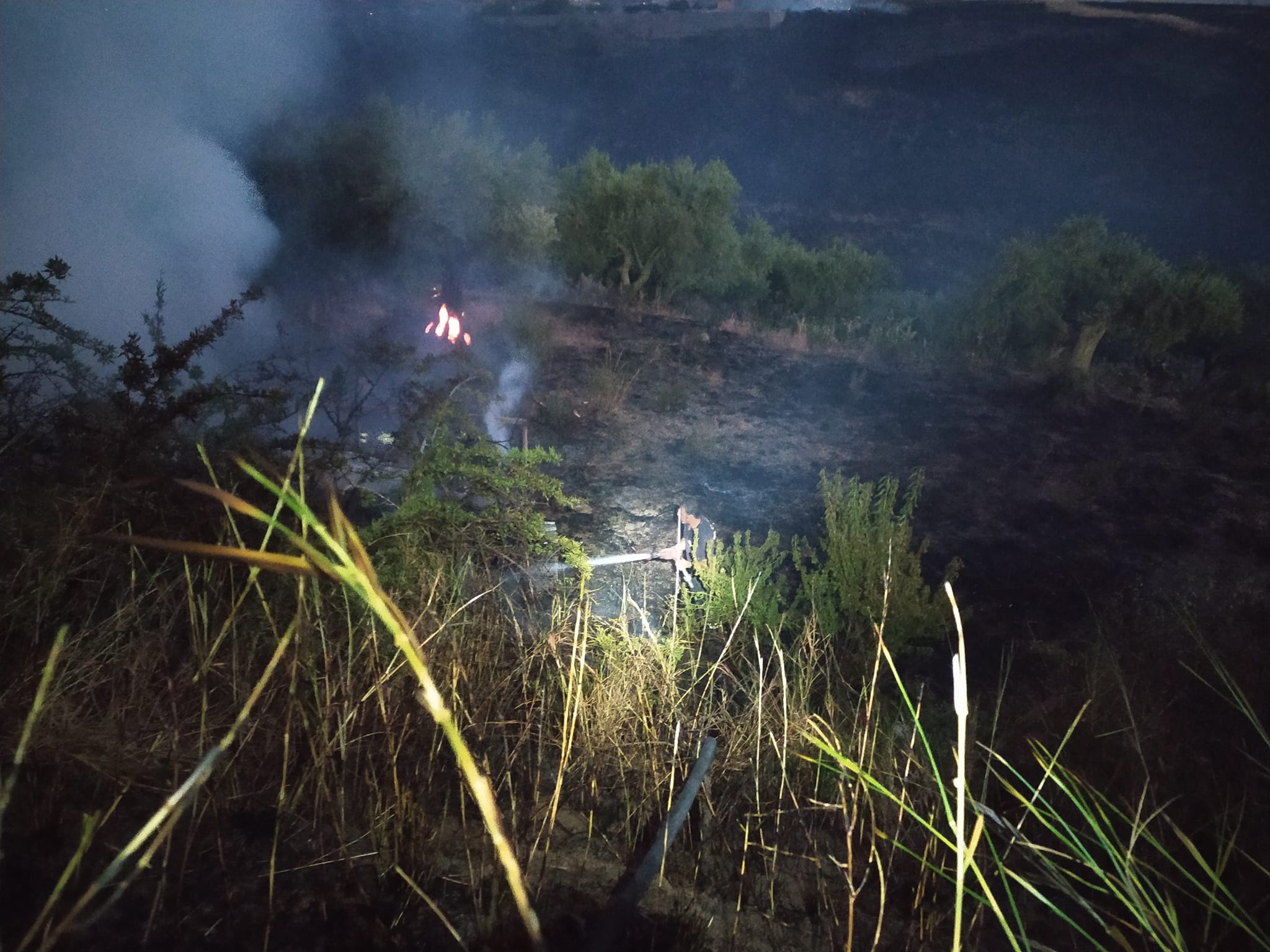 Il Palermitano “devastato” dagli incendi, vegetazione in fiamme e interventi senza sosta