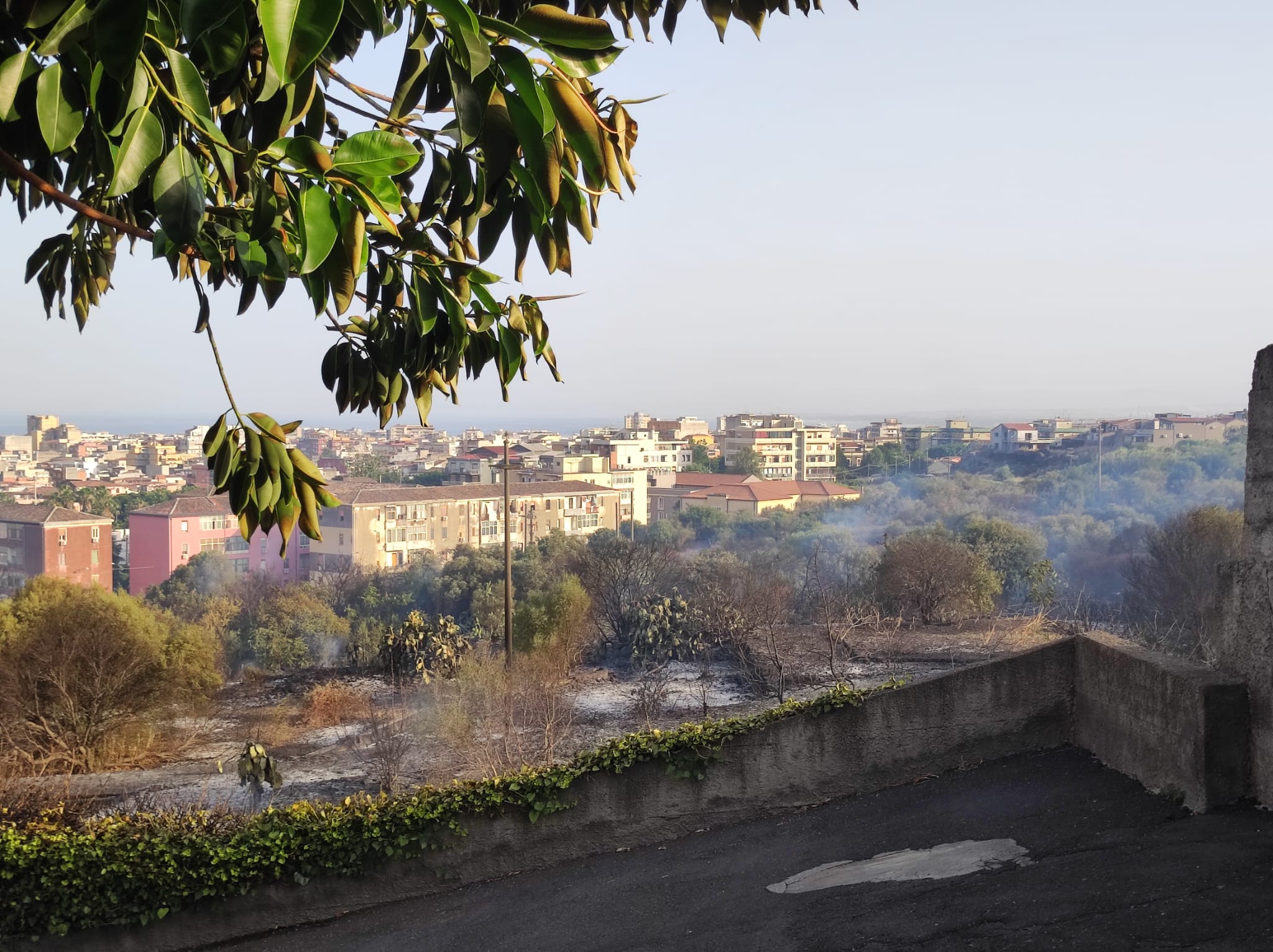 Incendio a Catania, fiamme alte e fumo in via Nuovalucello – VIDEO
