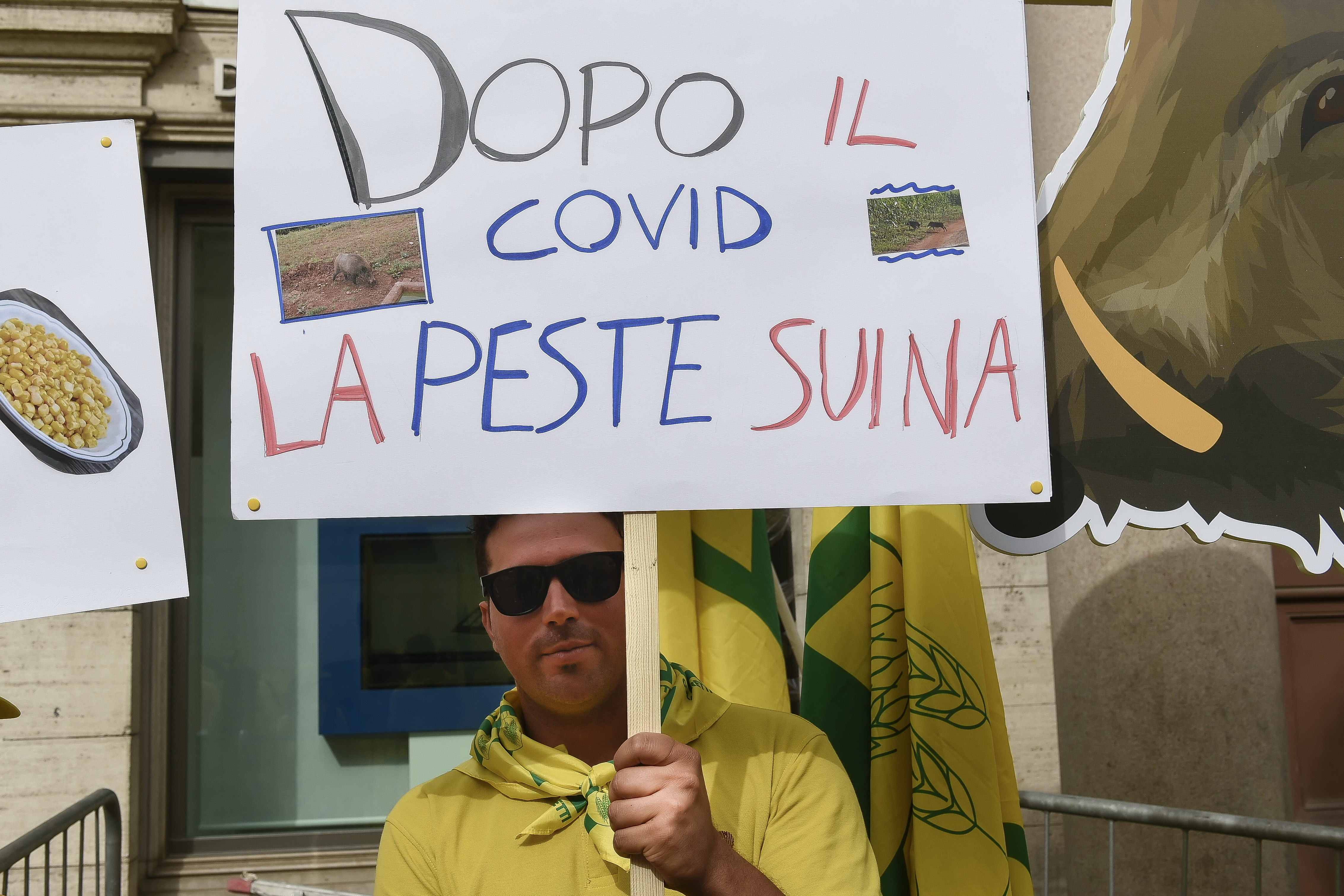 Peste suina, Confagricoltura e Coldiretti lanciano l’allarme e l’Ue osserva l’Italia