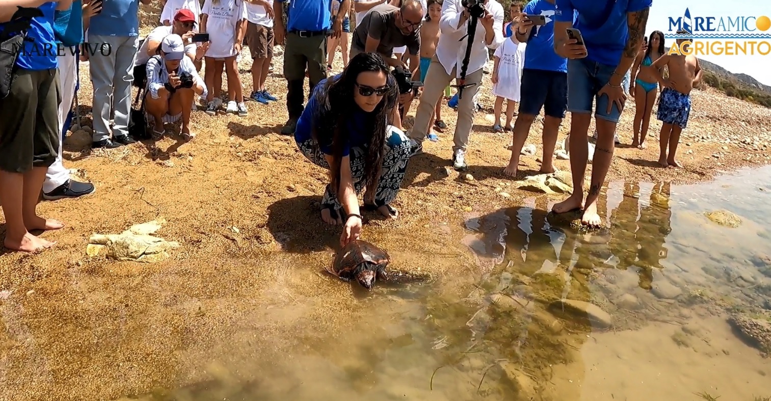 Tutela dell’ambiente a Punta Bianca, rilasciata tartaruga Caretta caretta