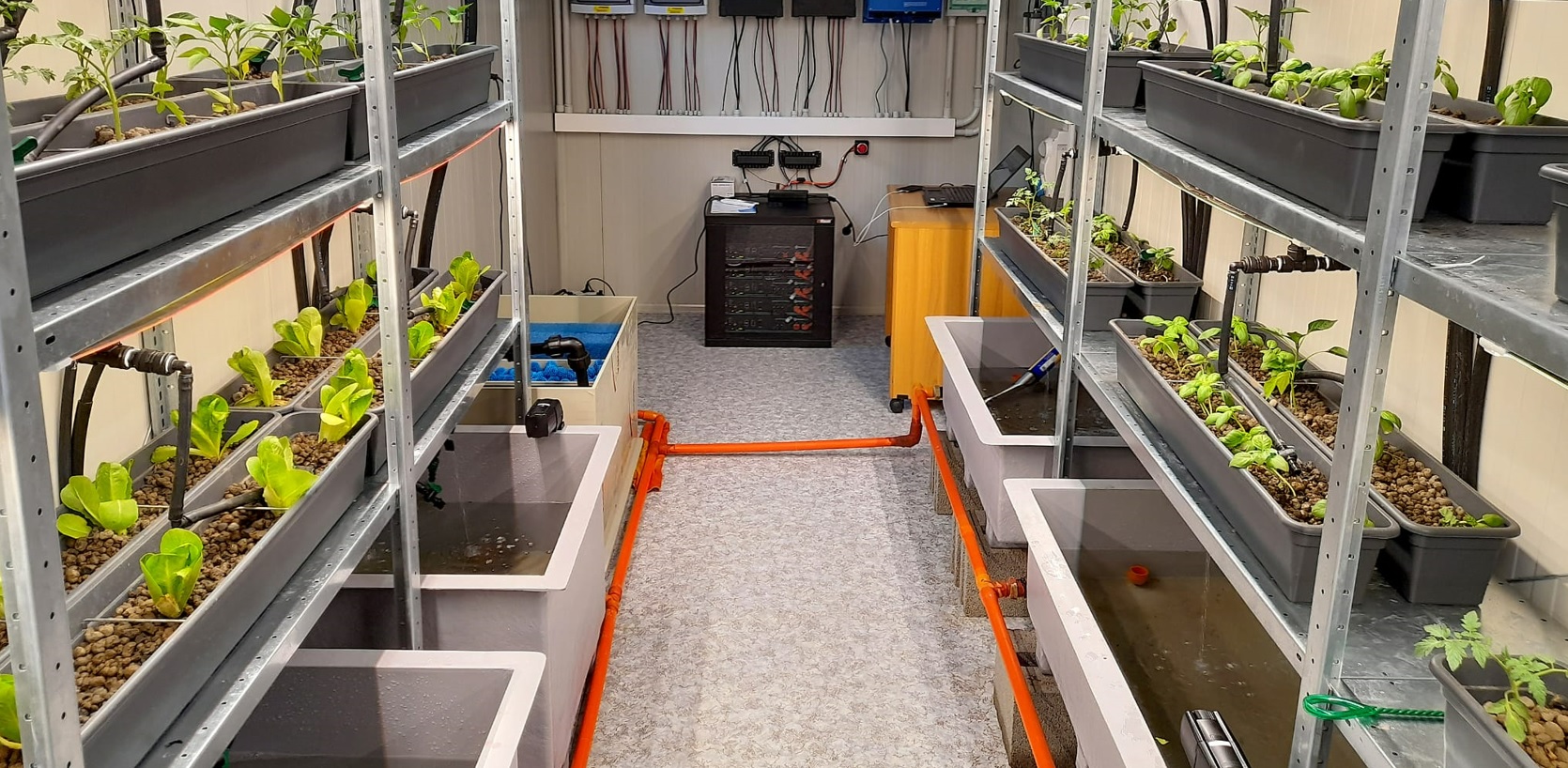 A Palermo il “Progetto Celavie”: produrre ortaggi e pesci sfidando il cambiamento climatico