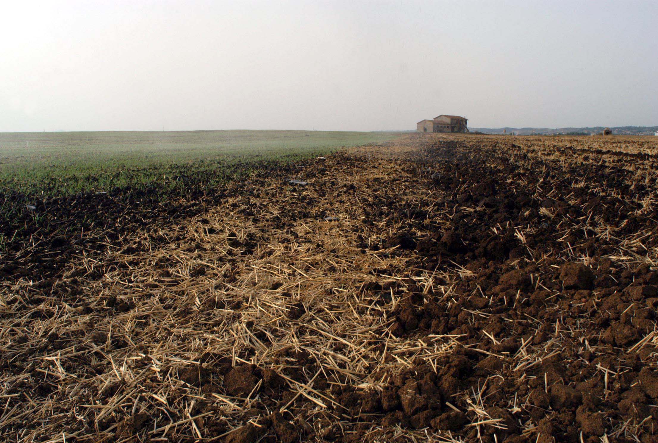 Siccità: Coldiretti, precipitazioni salvano semine primaverili e coltivazioni