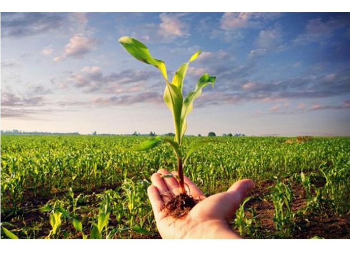 Agricoltura tra inclusione e tutela della biodiversità