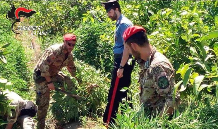 Contrasto alla criminalità nelle aree rurali nel Catanese: nel 2022 controllati oltre 400 casolari