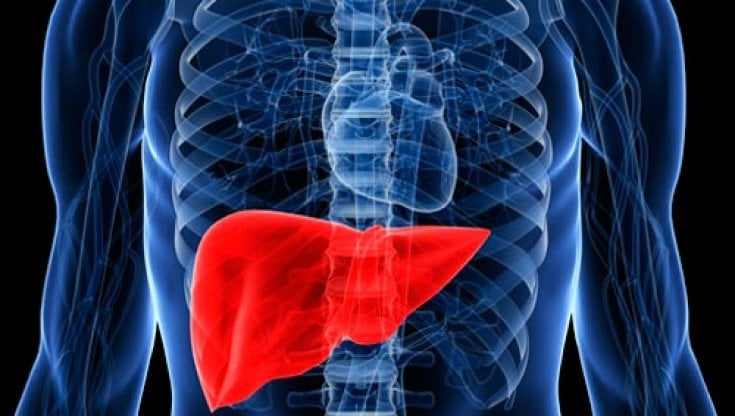 In Sicilia una “rete” per sostenere le persone affette da tumore al fegato