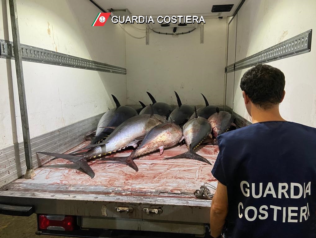 Sicilia orientale, maxi operazione della Guardia costiera sulla filiera della pesca