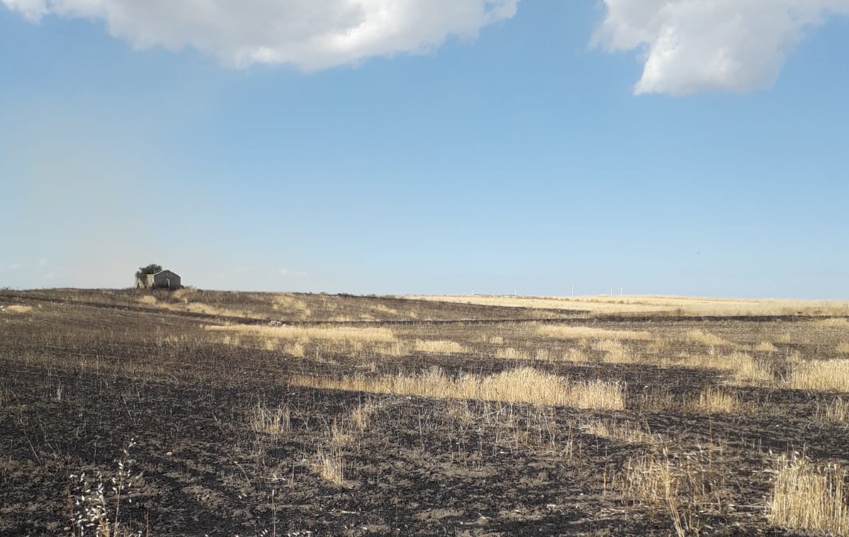 Grammichele, le istituzioni assenti al vertice per prevenire gli incendi