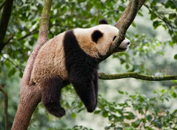 L’indolenza non crea né lavoro, né sviluppo