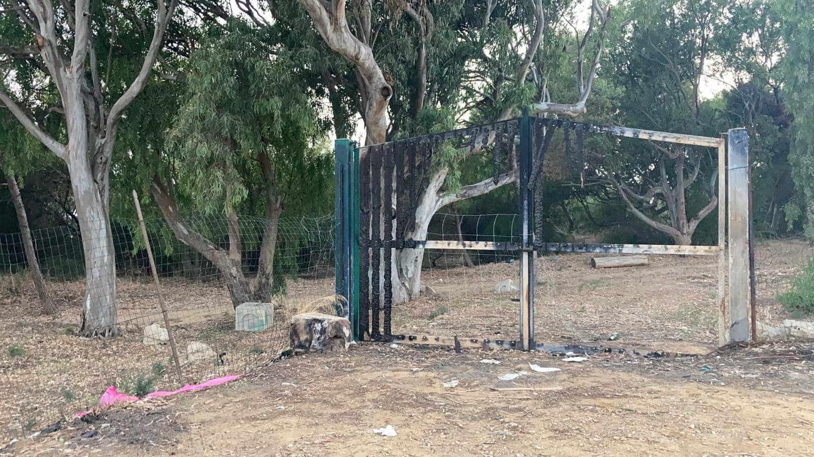 Emergenza rifiuti, il boschetto di Maddalusa da luogo Fai al degrado