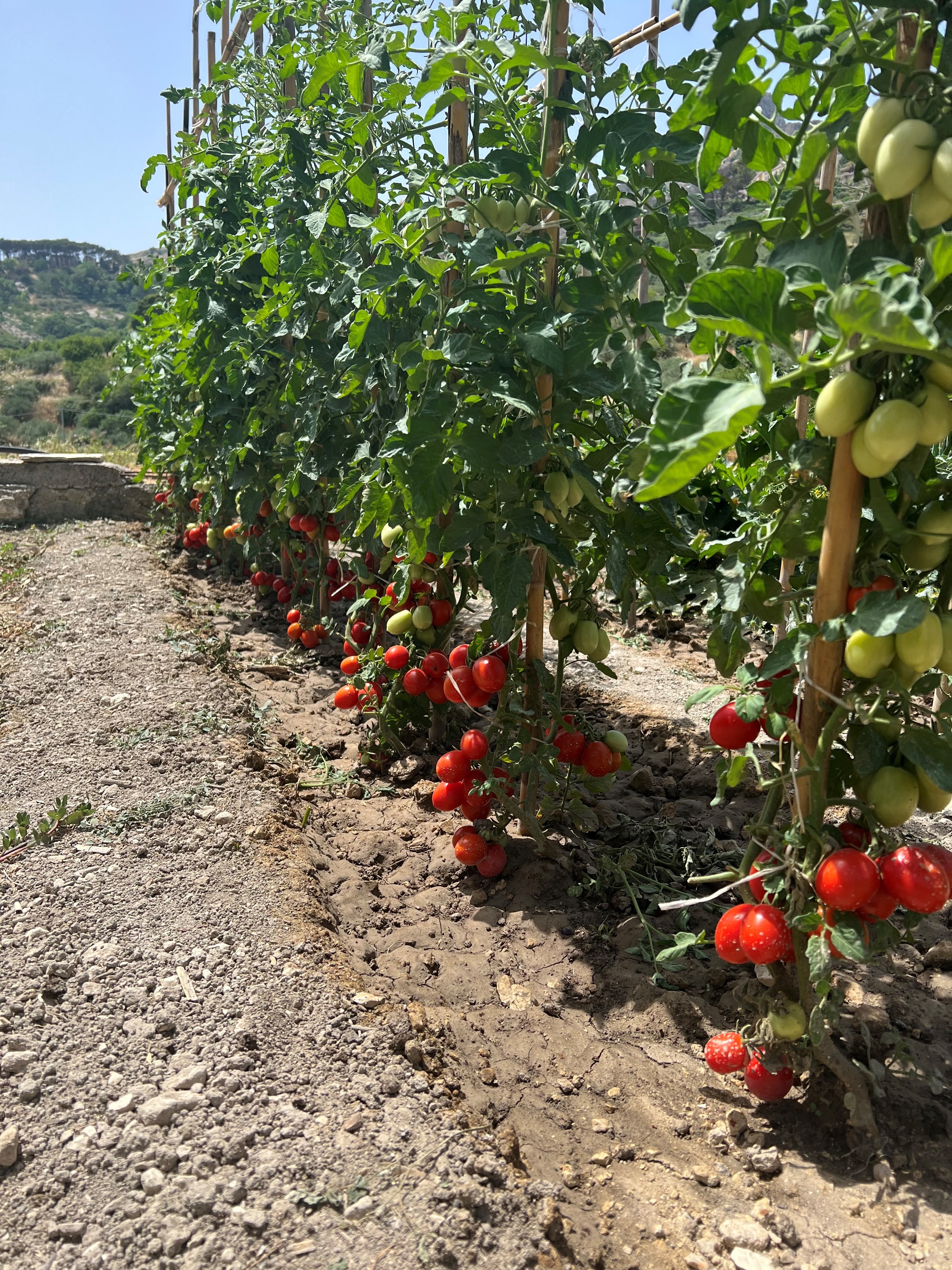 Caltabellotta Experience per riscoprire il territorio