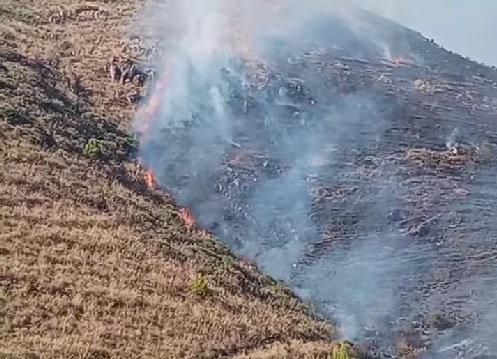 Incendio a Montelepre, fiamme appiccate in tre punti: “Non è un caso”