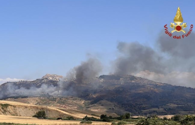 Fiamme nel Palermitano, incendio minaccia bosco vicino la SS 121