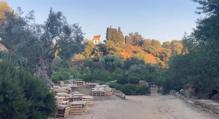 Sere Fai d’Estate: al via il programma al giardino della Kolymbethra