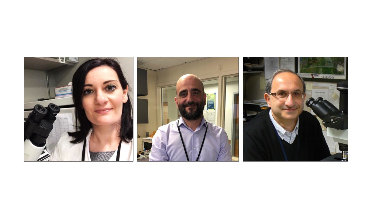 Fibrosi polmonare, importante scoperta di tre ricercatori siciliani in Usa