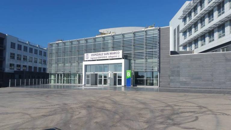 Vaiolo delle scimmie a Catania, confermato caso: uomo in isolamento