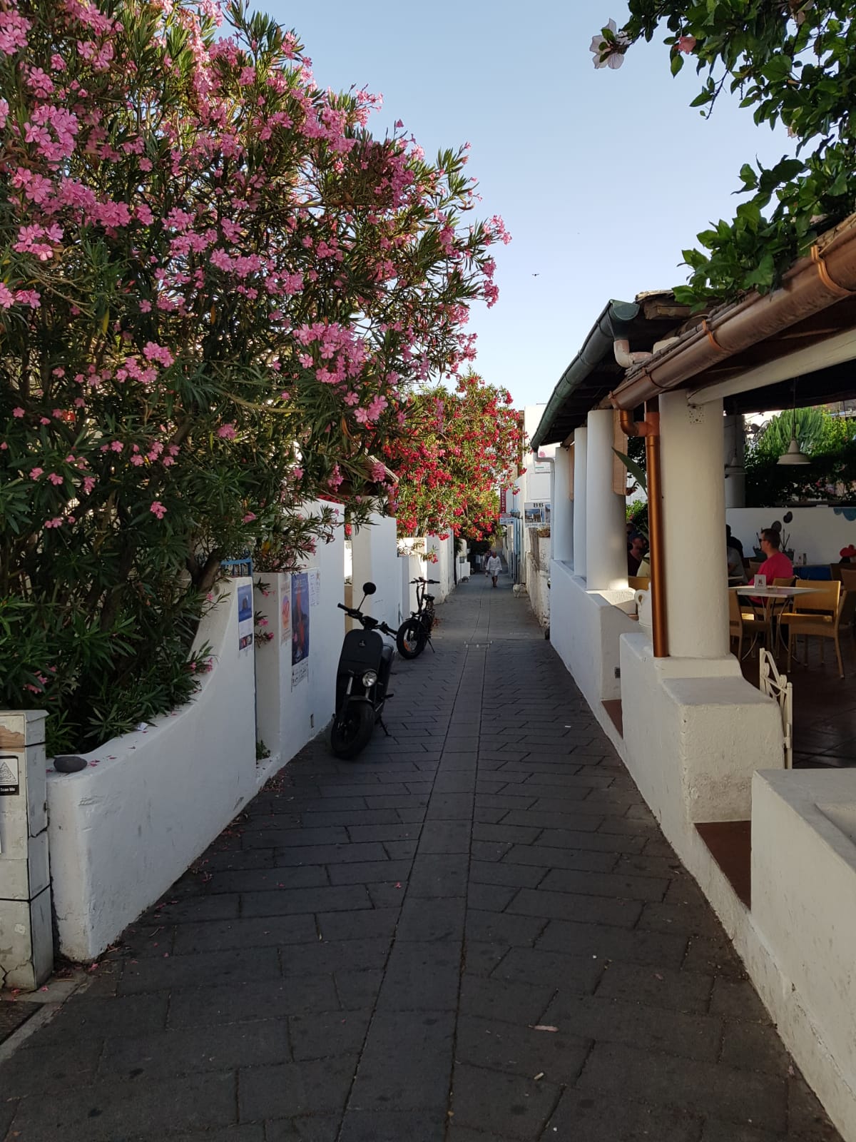 Da Vulcano a Stromboli: alle Eolie per una vacanza indimenticabile – Fotogallery Da Vulcano a Stromboli: alle Eolie per una vacanza indimenticabile – Fotogallery