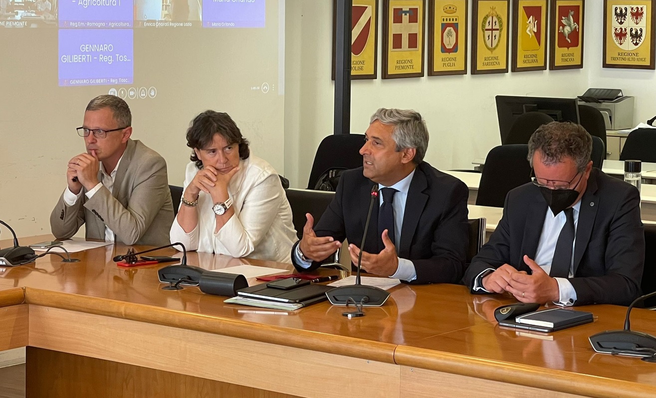 Emergenza cinghiali in Sicilia, Scilla: “Serve intervento da Roma”