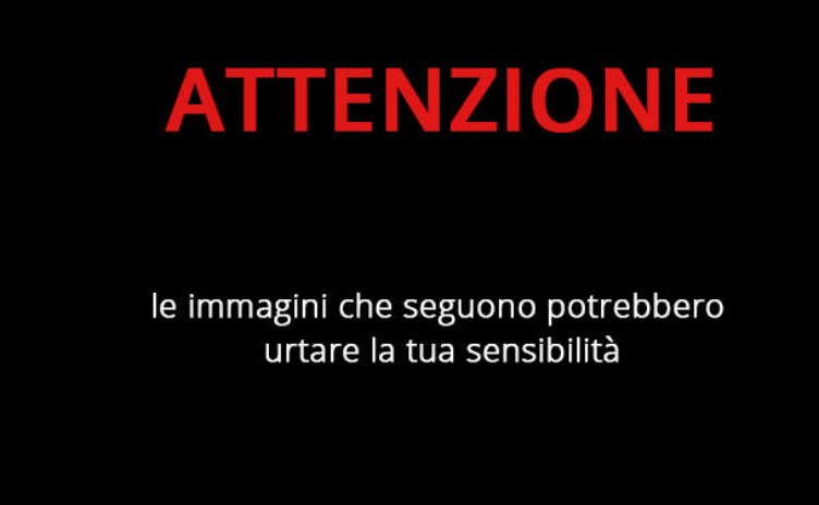 Morto cadendo nel pozzo, le urla e le nuove immagini: i funerali di Antonio Andriani – Foto