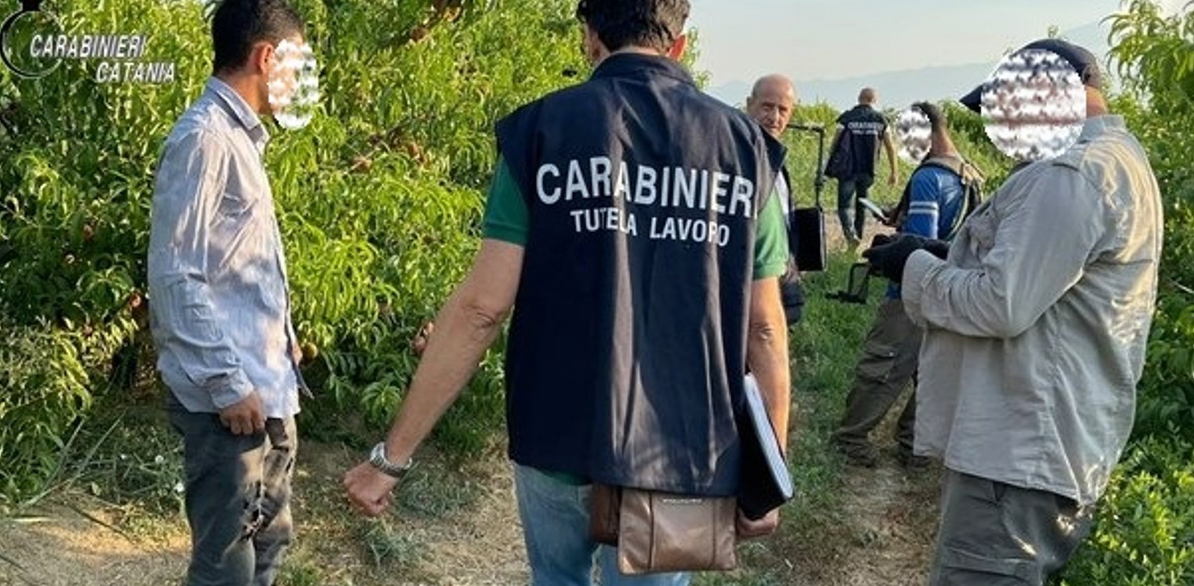 Operari sfruttati denunciano il loro “caporale”: sospeso imprenditore agricolo di Ragalna