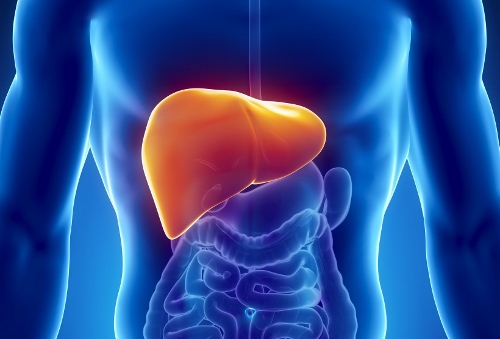 Giornata mondiale dell’epatite, test gratuito per l’HCV a Palermo