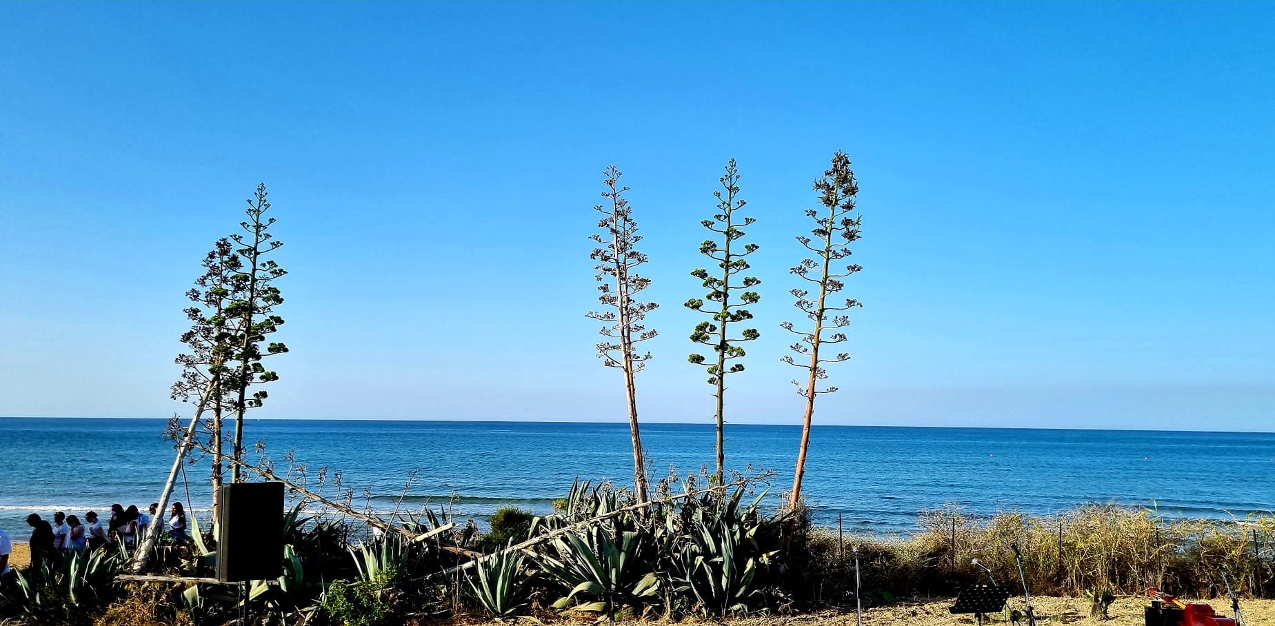 Il risveglio di Persefone, spettacolo all’alba alla Scala dei Turchi Il risveglio di Persefone, spettacolo all’alba alla Scala dei Turchi