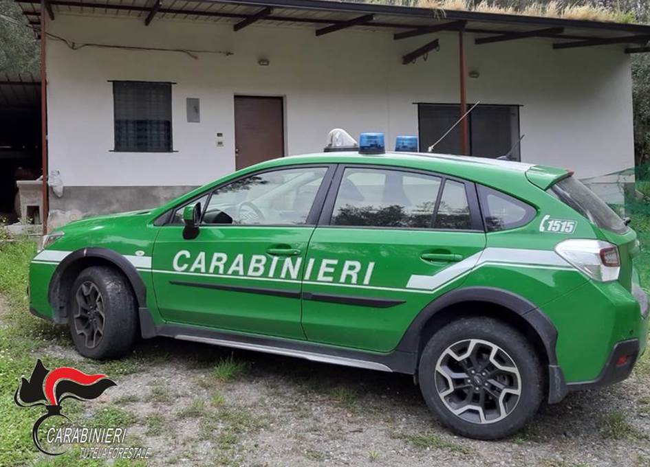 Gestione illecita di rifiuti speciali in terreno: denunciato titolare di impresa edile a Pantelleria