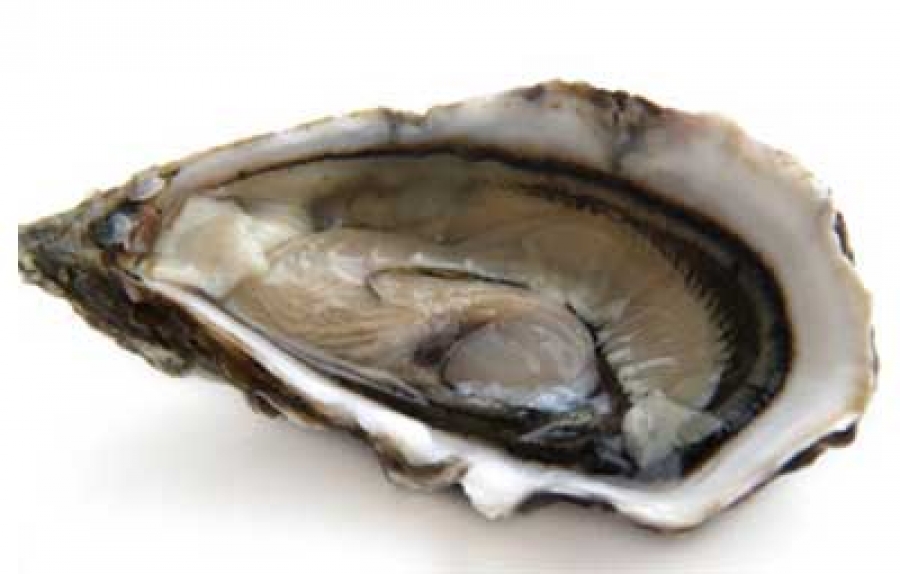 Mangia ostriche e crostacei prima del parto, neonato in fin di vita