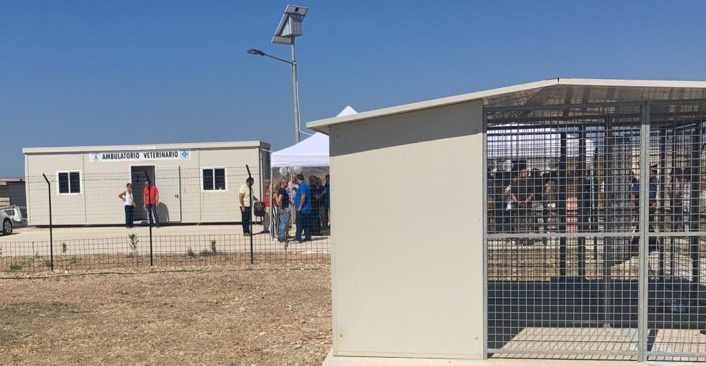 Svolta per contrastare il fenomeno del randagismo ad Agrigento