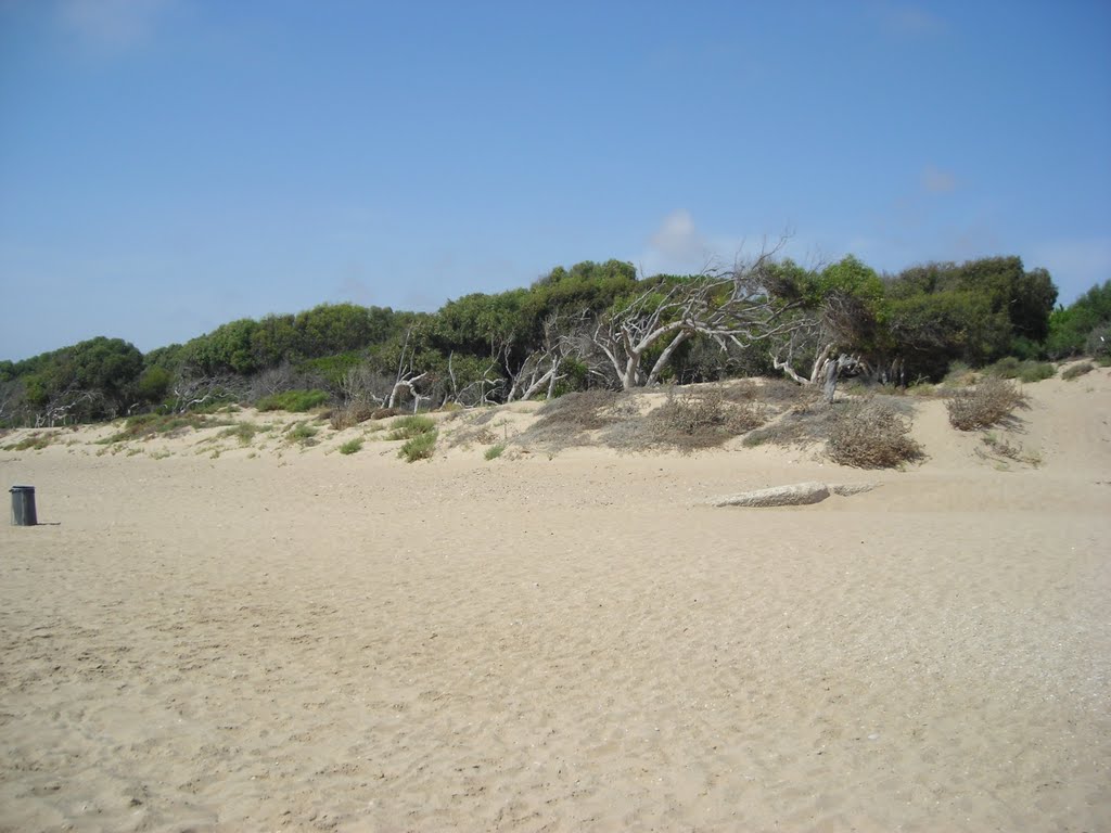 Agrigento, partiti i lavori di bonifica del boschetto di San Leone