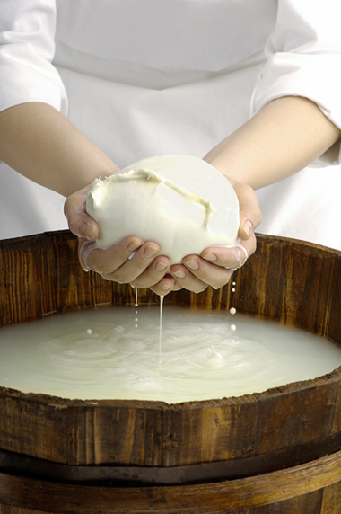 La produzione casearia al centro di un appuntamento in Turchia