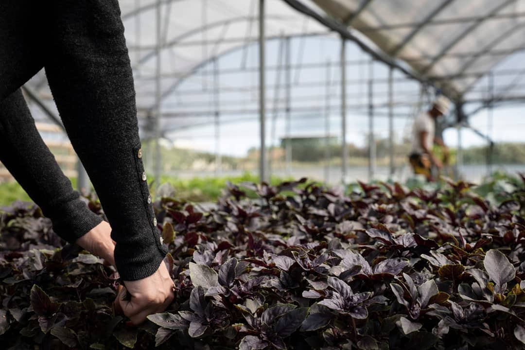 Ragusa, vittime di tratta, registrato il marchio Mei con Proxima