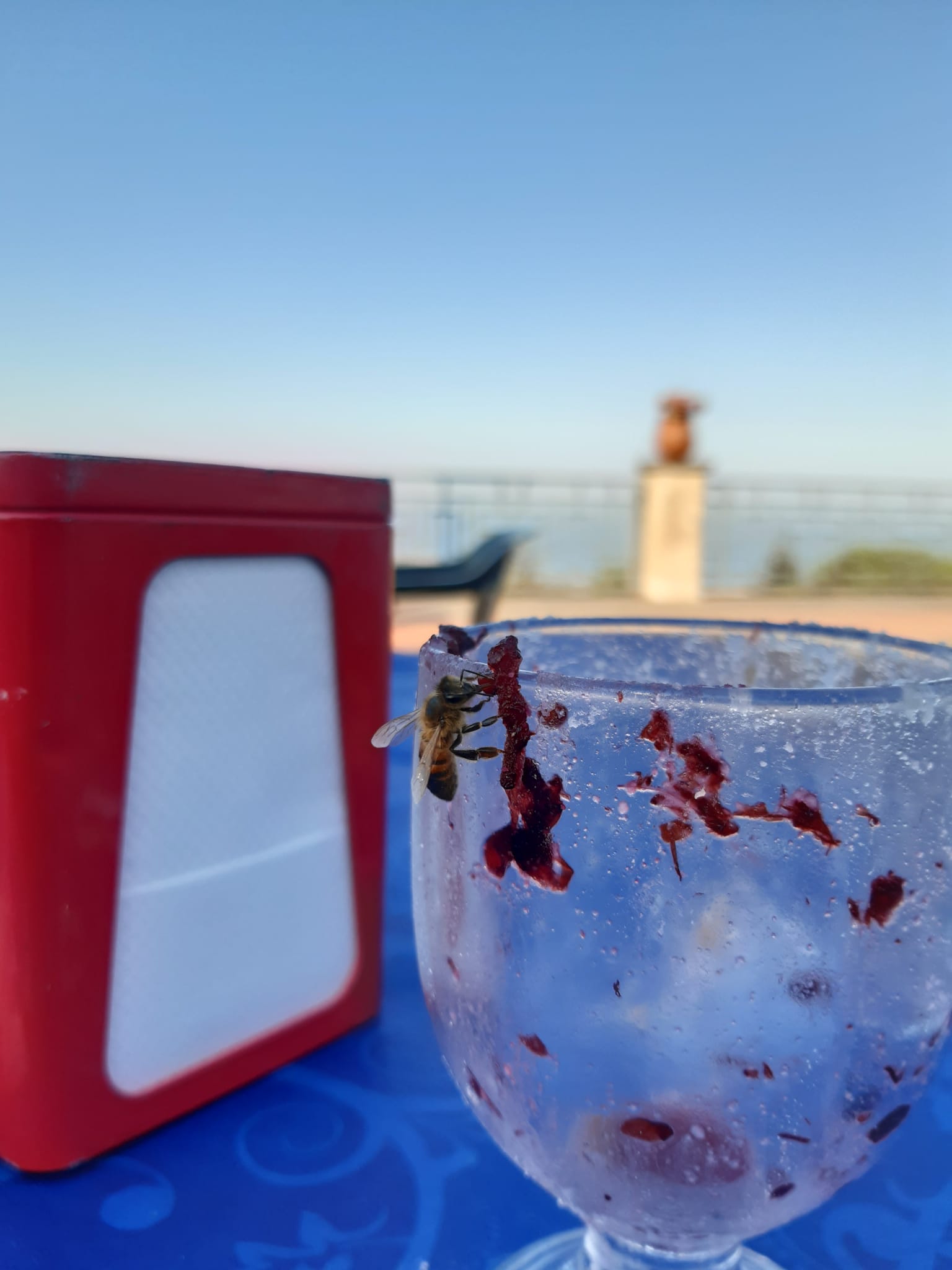 Cambiamenti climatici, in Sicilia produzione miele crollata del 40%