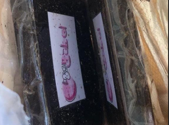 Catania, la droga “firmata” con la scritta “Big Babol” e gli assuntori minorenni