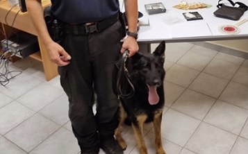 Casa dello spaccio in via Etna, il cane Riley scopre la cocaina nascosta: 26enne in manette